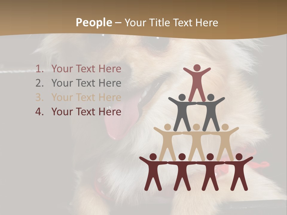 Cute Little Chihuahua-Pomerania N Mix Dog Sitting In Old Fashion Luggage With Pink Outfit PowerPoint Template