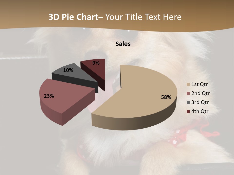 Cute Little Chihuahua-Pomerania N Mix Dog Sitting In Old Fashion Luggage With Pink Outfit PowerPoint Template