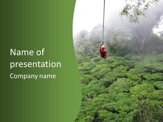 A Man Ziplines Through The Cloud Forest Of Monteverde, Costa Rica PowerPoint Template