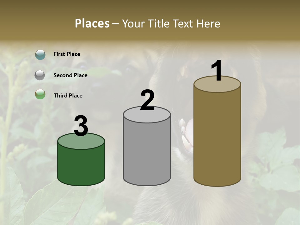 Big Yawn PowerPoint Template