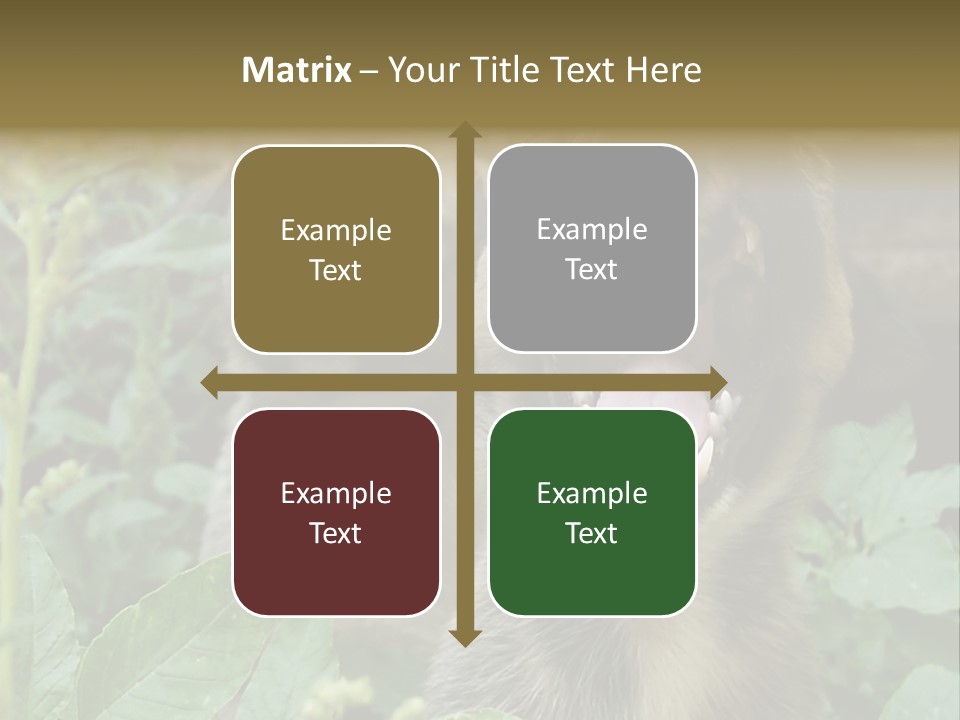 Big Yawn PowerPoint Template