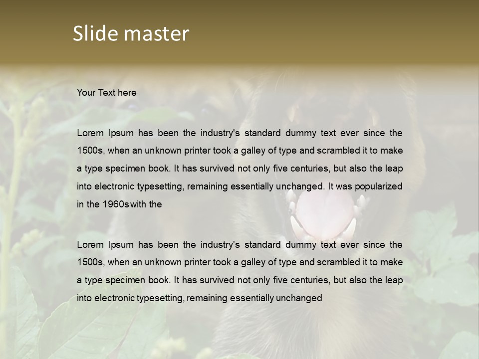 Big Yawn PowerPoint Template