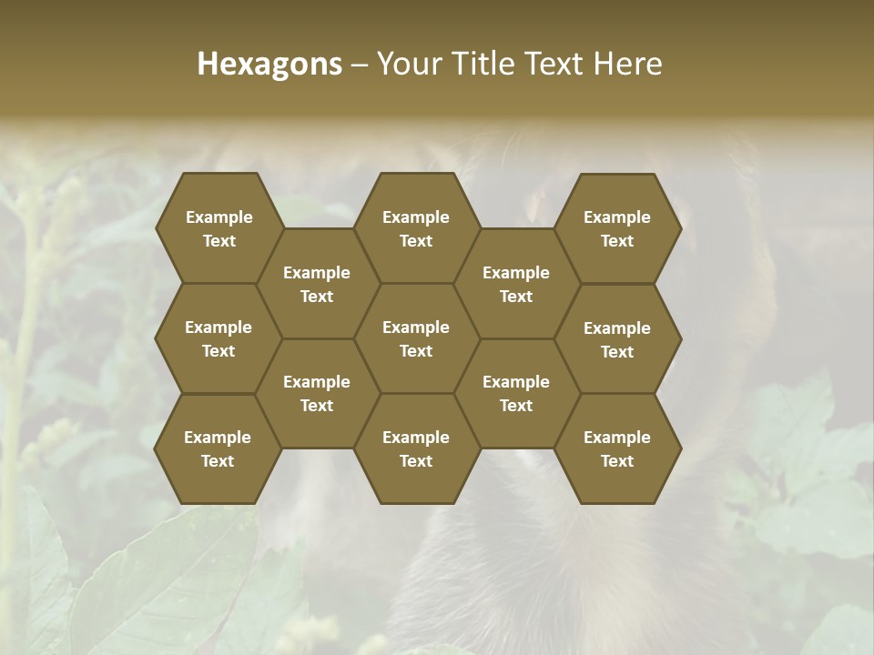 Big Yawn PowerPoint Template