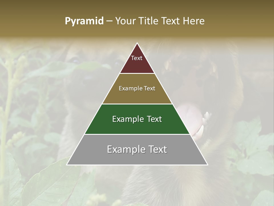 Big Yawn PowerPoint Template