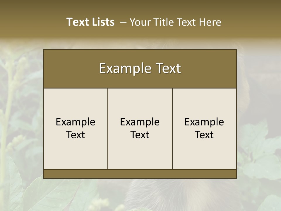 Big Yawn PowerPoint Template