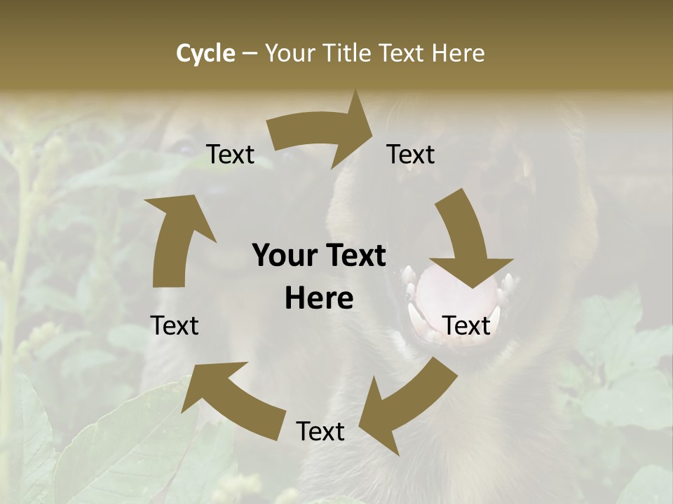 Big Yawn PowerPoint Template