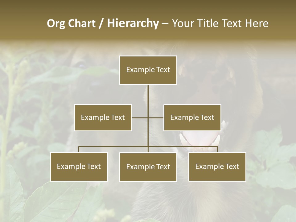 Big Yawn PowerPoint Template