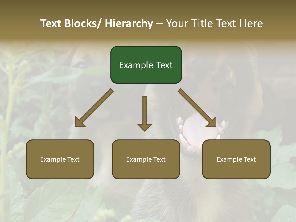 Big Yawn PowerPoint Template