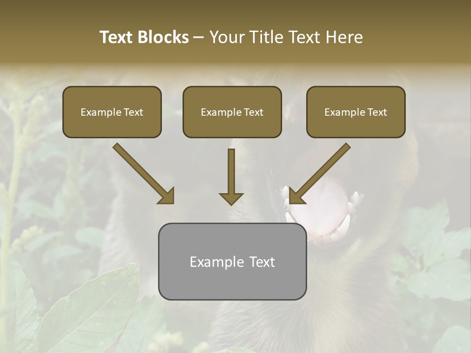 Big Yawn PowerPoint Template
