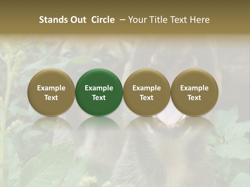 Big Yawn PowerPoint Template