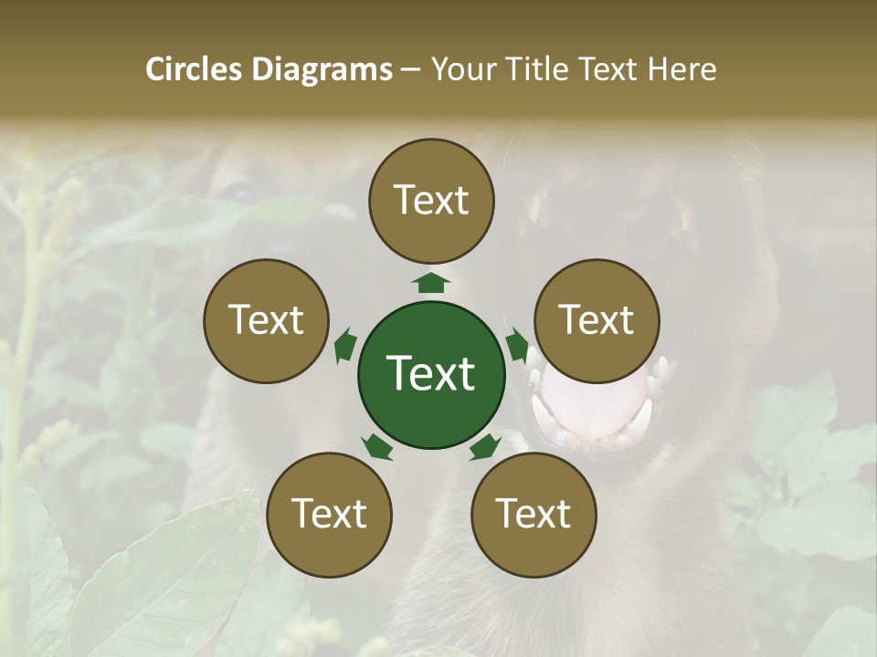 Big Yawn PowerPoint Template