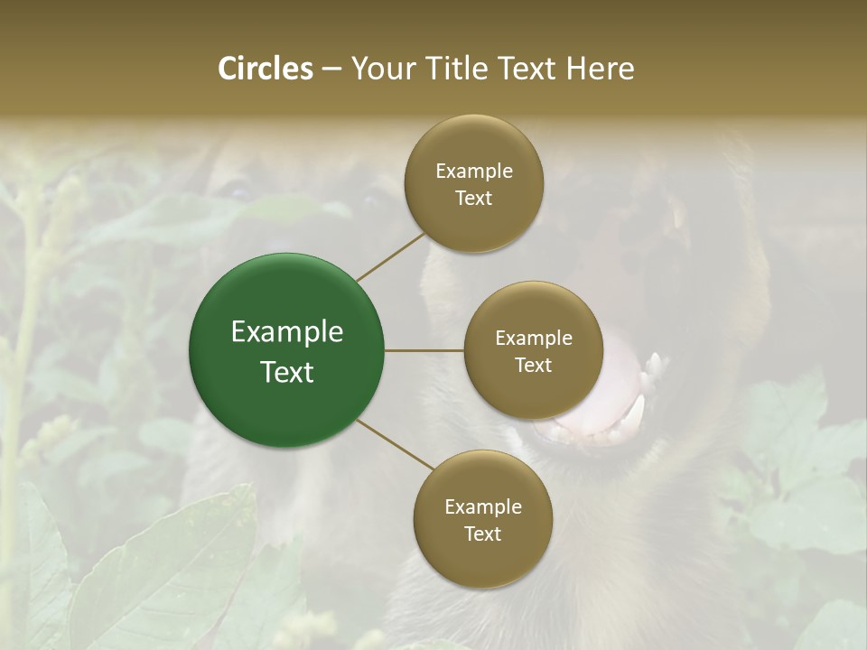 Big Yawn PowerPoint Template