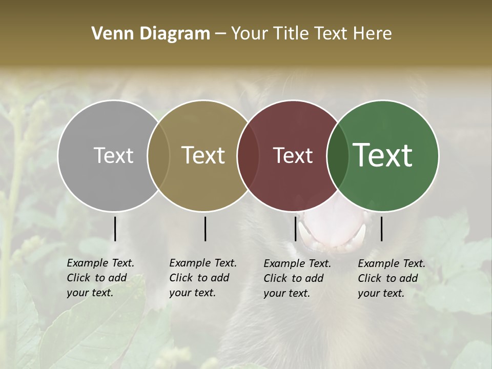 Big Yawn PowerPoint Template