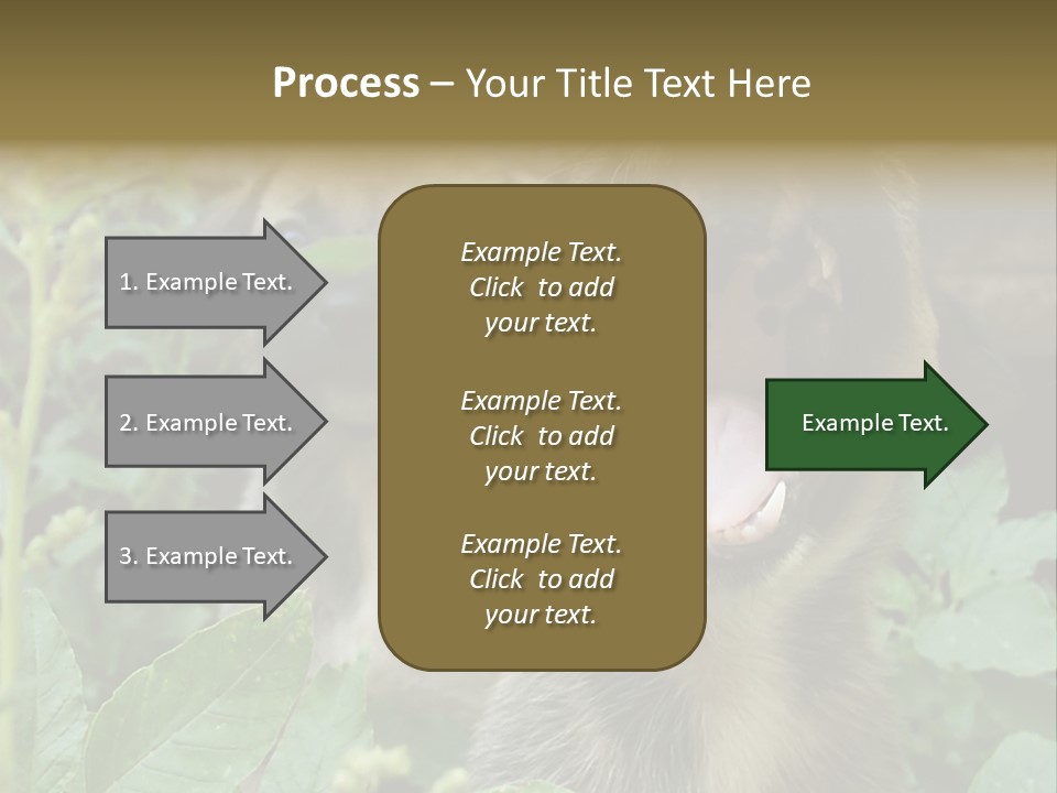 Big Yawn PowerPoint Template