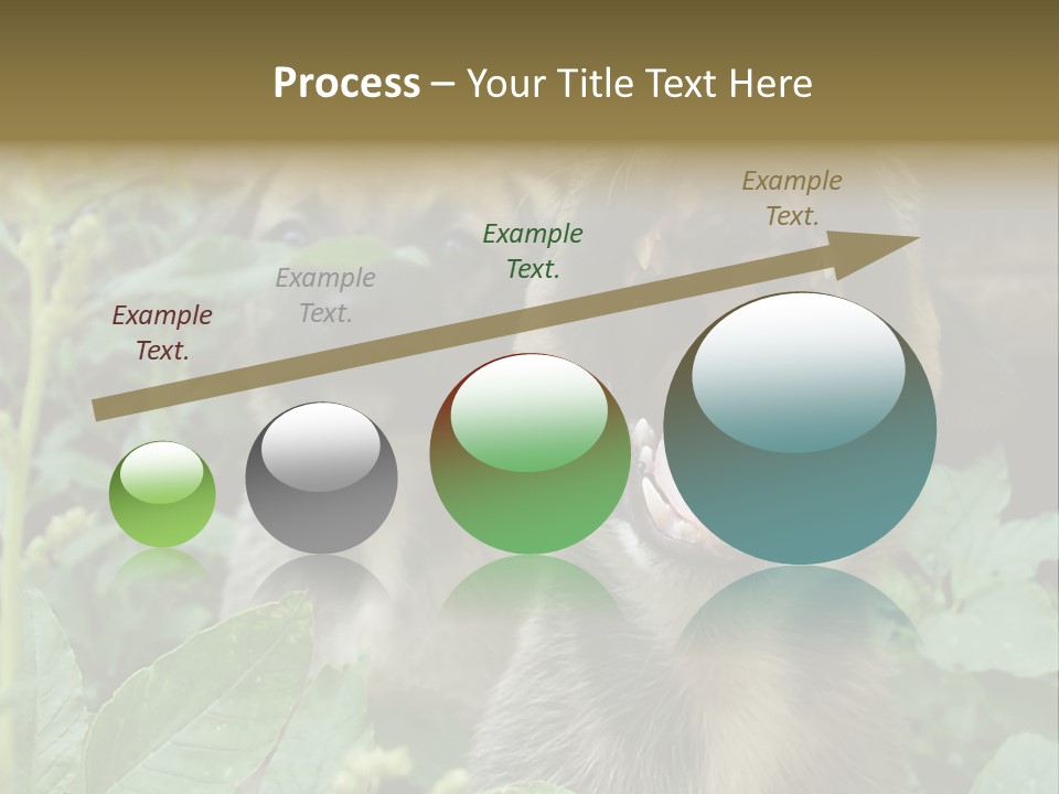 Big Yawn PowerPoint Template