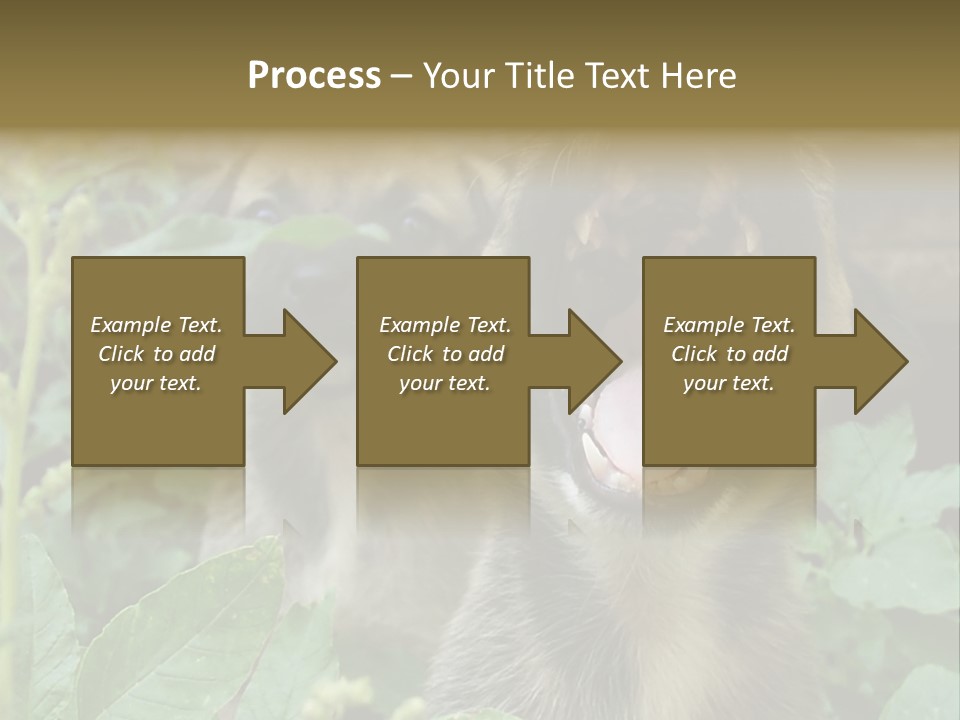 Big Yawn PowerPoint Template