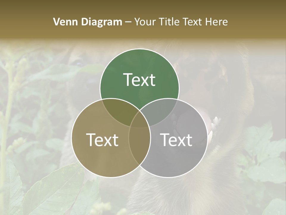 Big Yawn PowerPoint Template