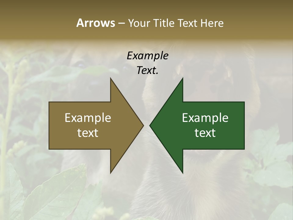 Big Yawn PowerPoint Template