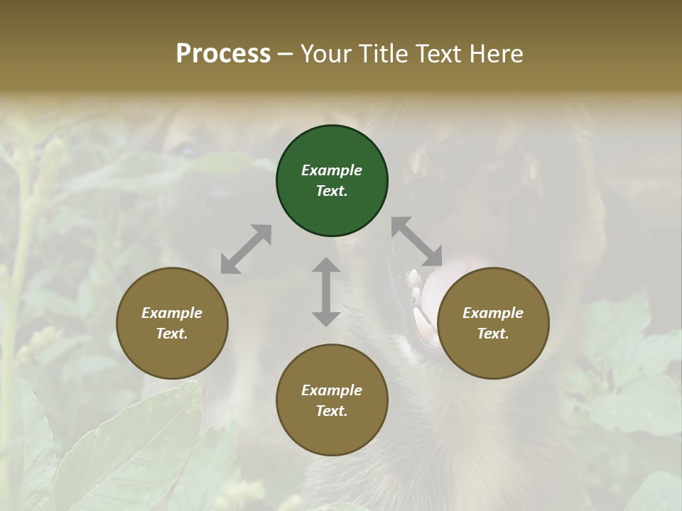 Big Yawn PowerPoint Template