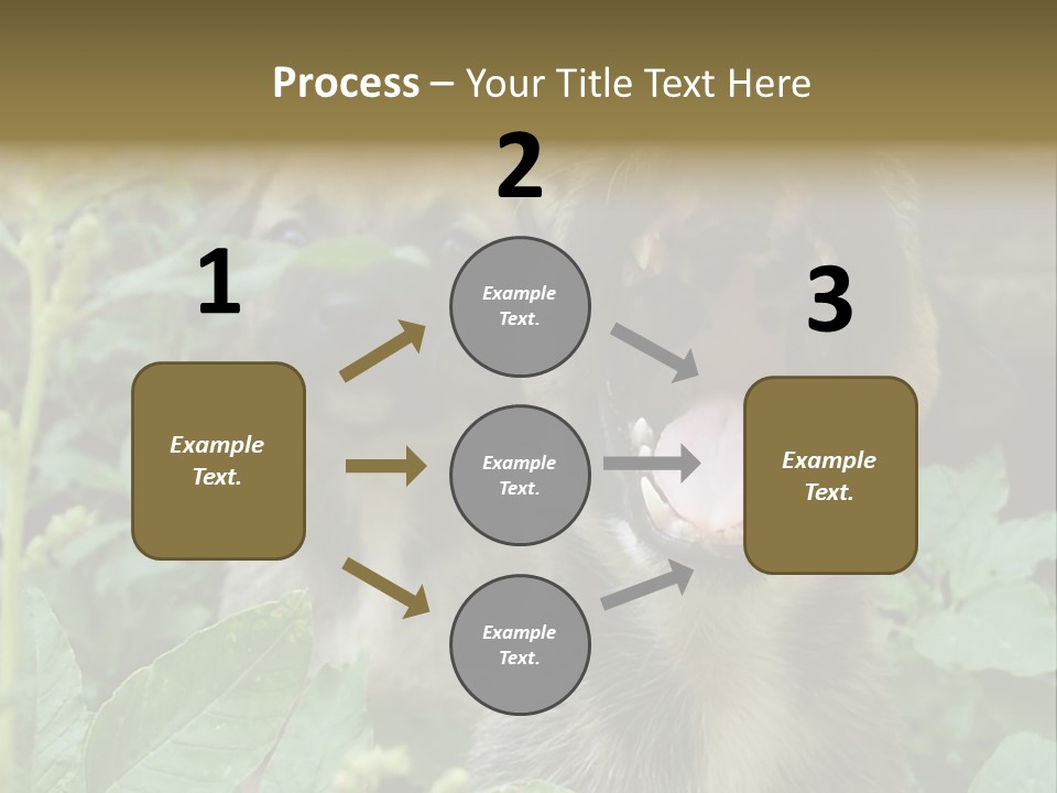 Big Yawn PowerPoint Template