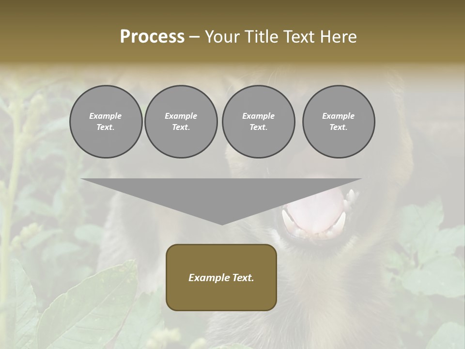 Big Yawn PowerPoint Template