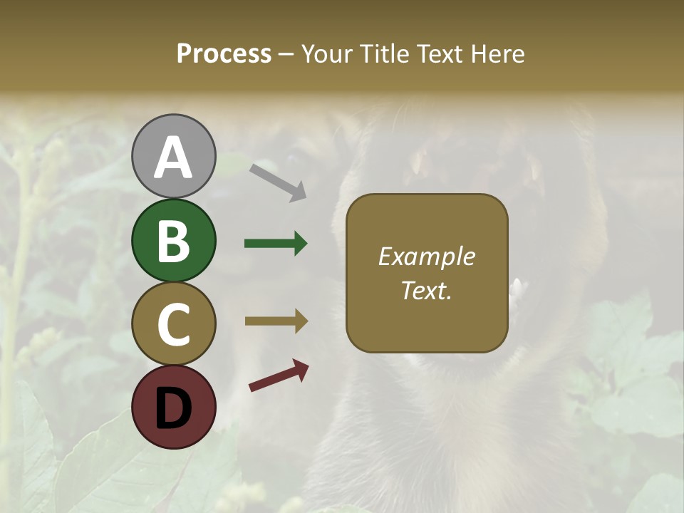 Big Yawn PowerPoint Template