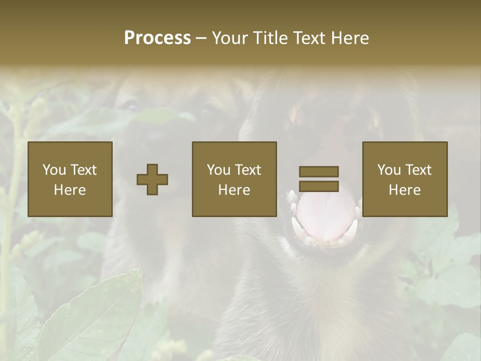 Big Yawn PowerPoint Template