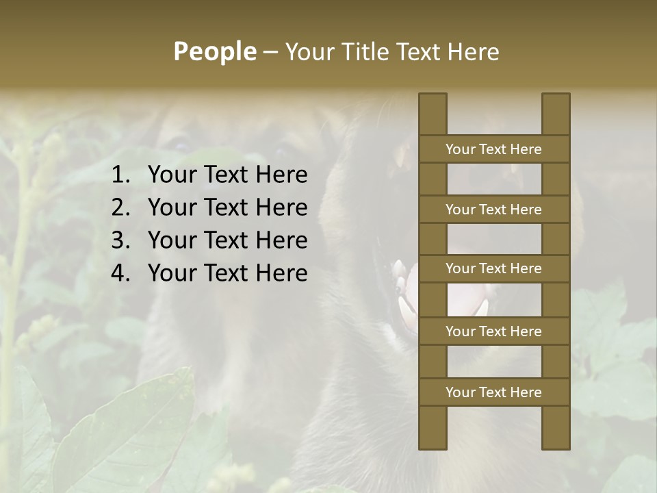 Big Yawn PowerPoint Template