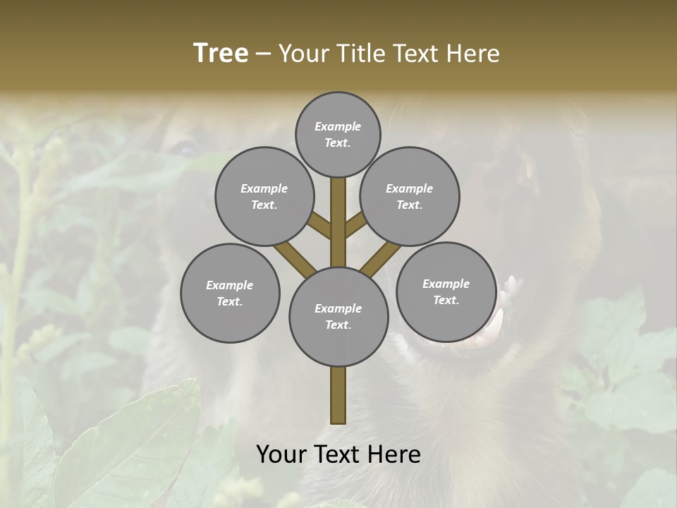 Big Yawn PowerPoint Template