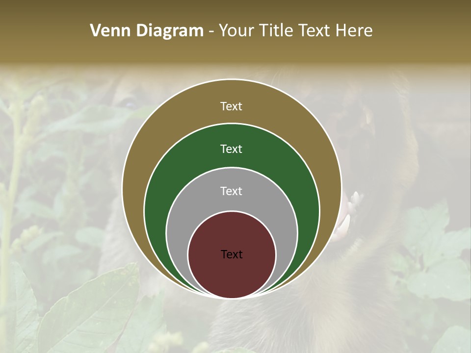 Big Yawn PowerPoint Template