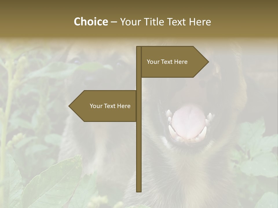 Big Yawn PowerPoint Template