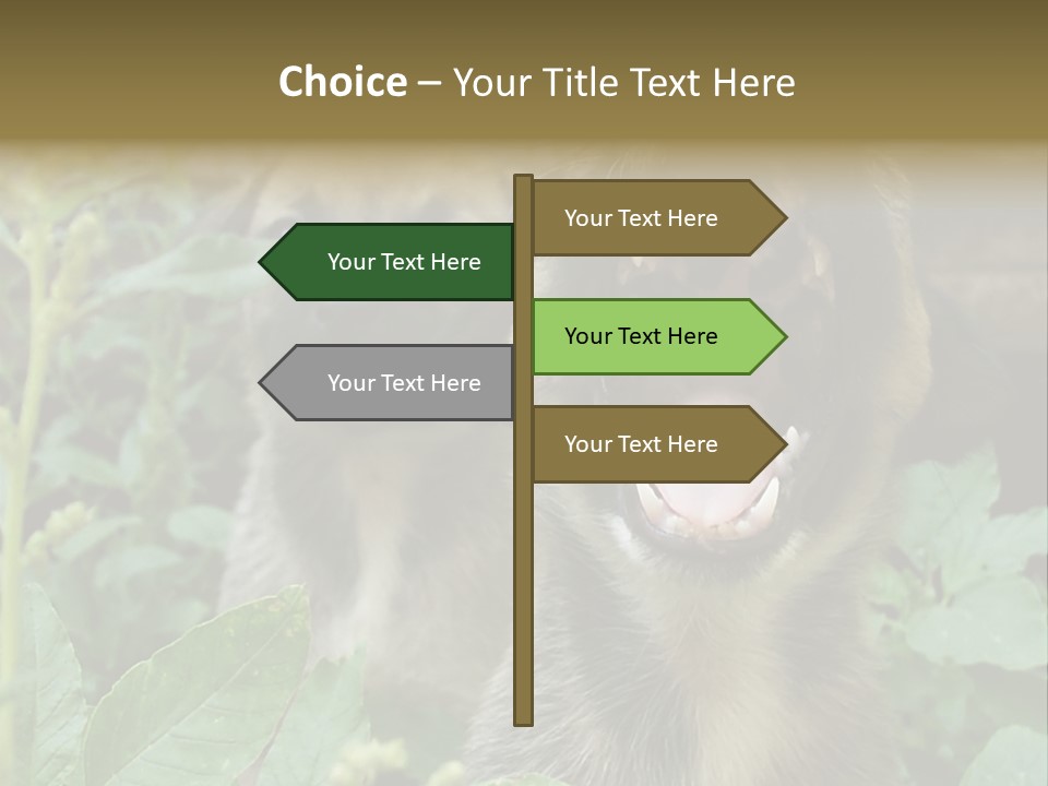 Big Yawn PowerPoint Template