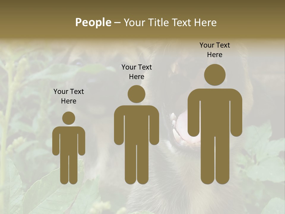 Big Yawn PowerPoint Template