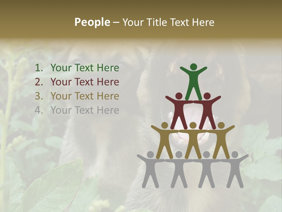 Big Yawn PowerPoint Template