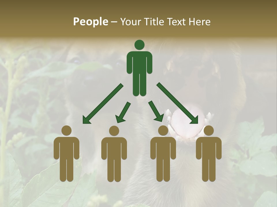 Big Yawn PowerPoint Template