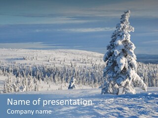 Winter Landscape PowerPoint Template