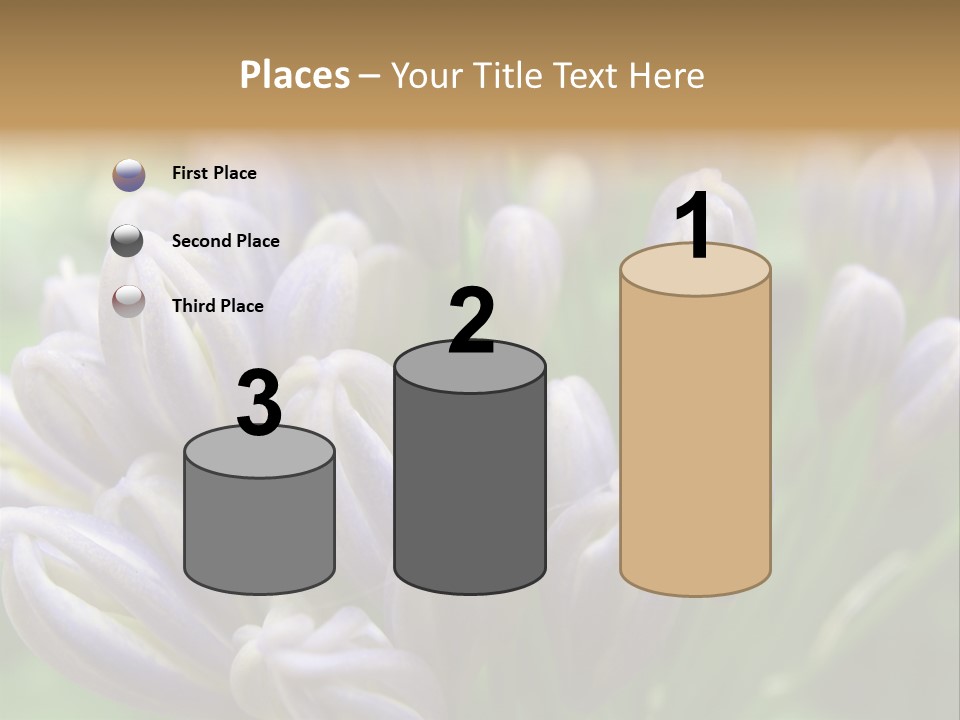 Agapanthas Unopened PowerPoint Template