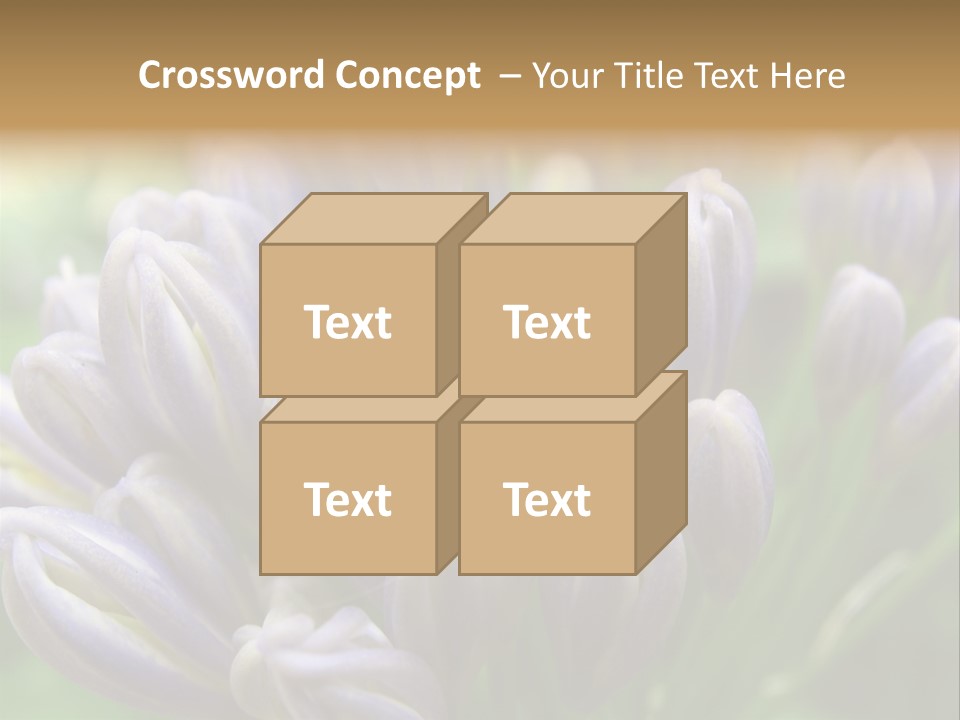 Agapanthas Unopened PowerPoint Template