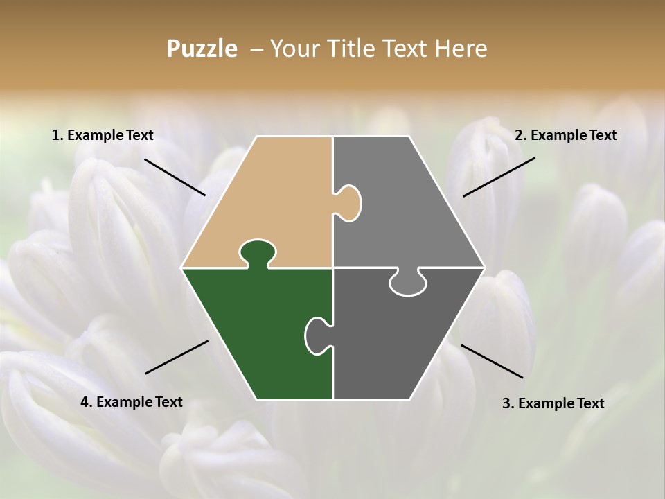 Agapanthas Unopened PowerPoint Template