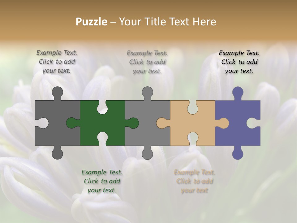 Agapanthas Unopened PowerPoint Template