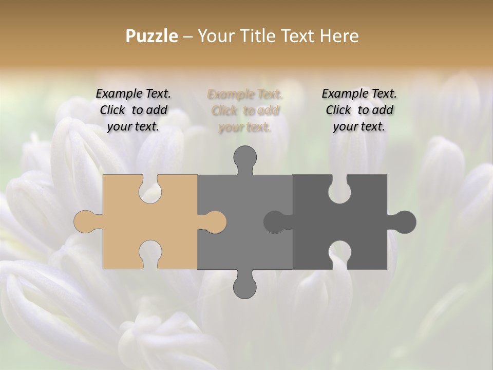 Agapanthas Unopened PowerPoint Template