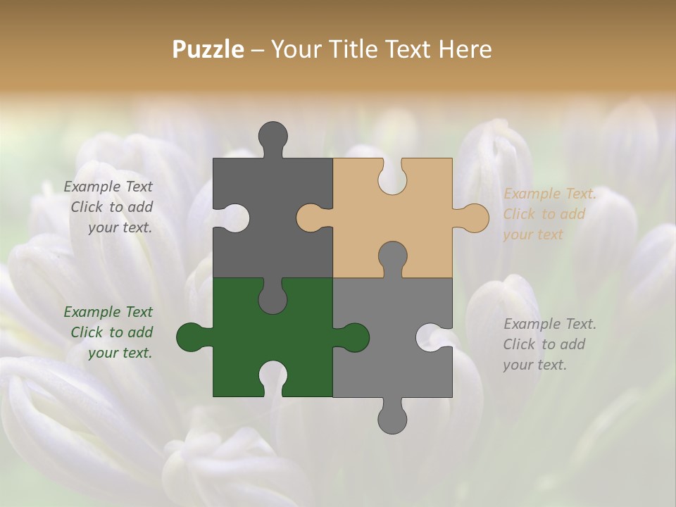 Agapanthas Unopened PowerPoint Template