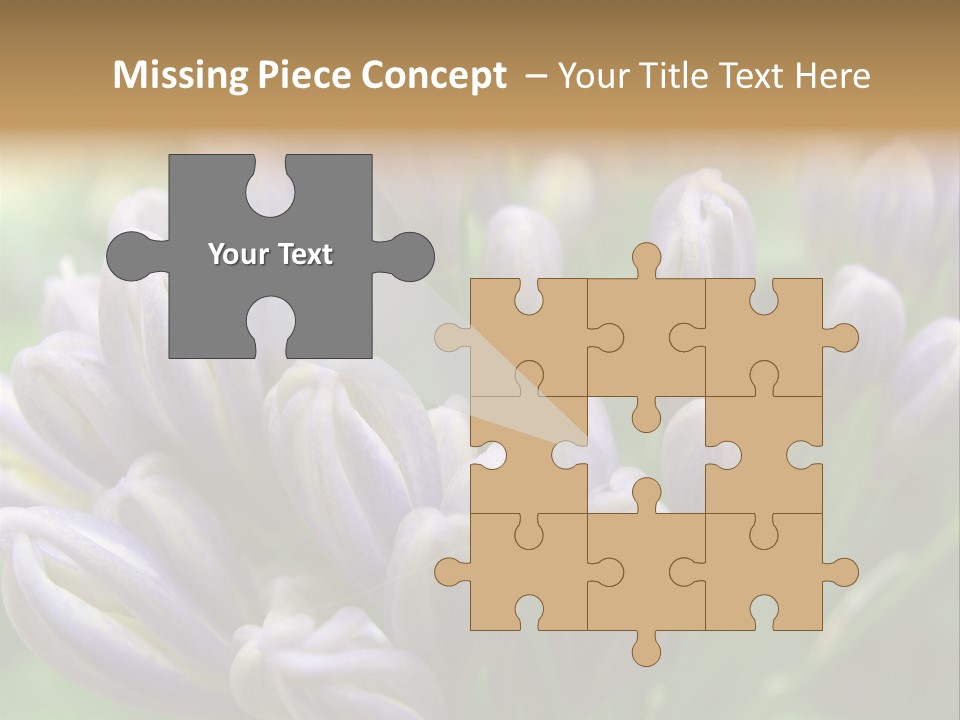 Agapanthas Unopened PowerPoint Template