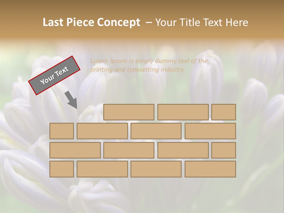 Agapanthas Unopened PowerPoint Template