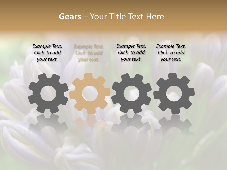 Agapanthas Unopened PowerPoint Template