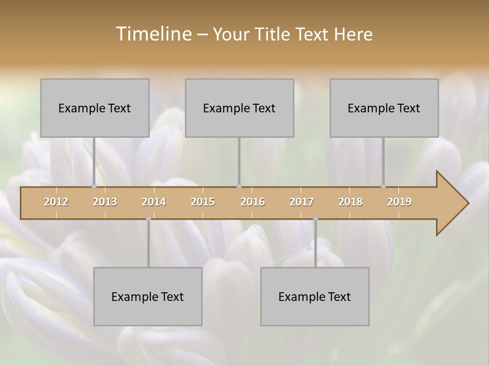 Agapanthas Unopened PowerPoint Template