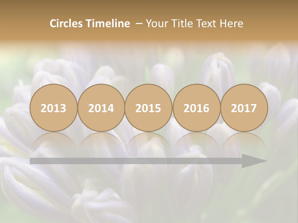 Agapanthas Unopened PowerPoint Template