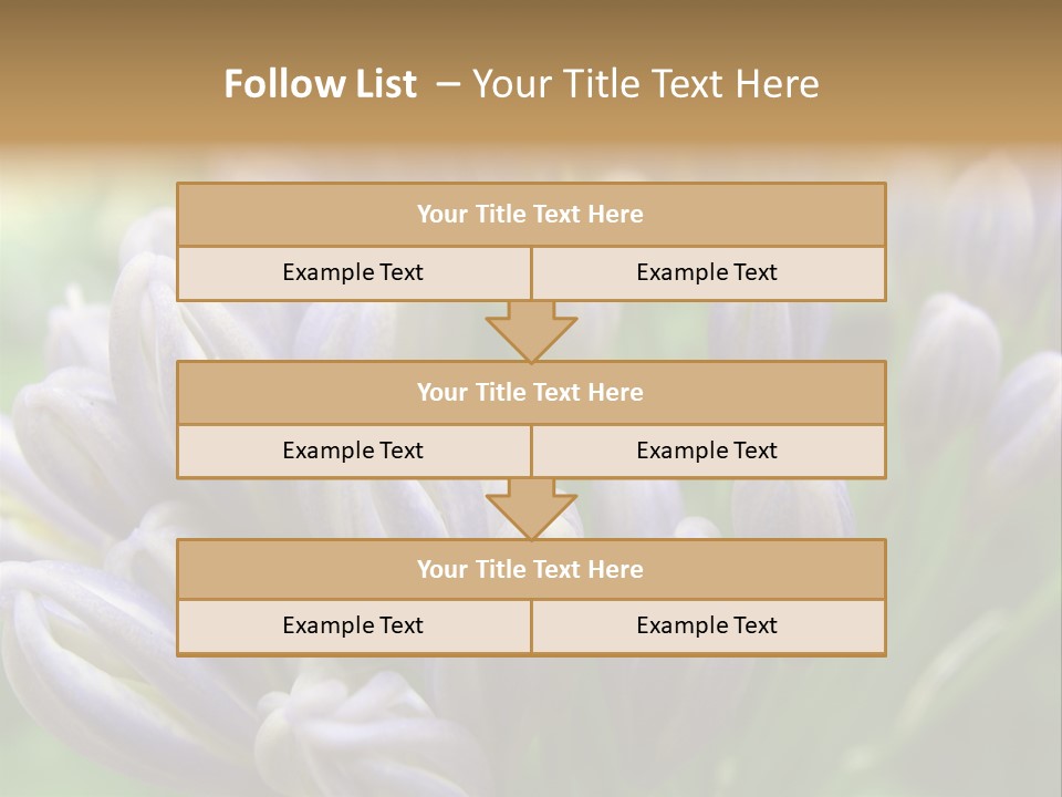 Agapanthas Unopened PowerPoint Template