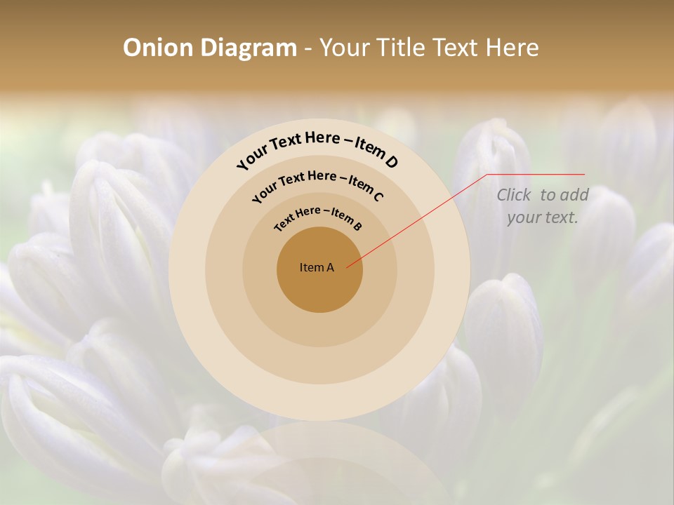 Agapanthas Unopened PowerPoint Template