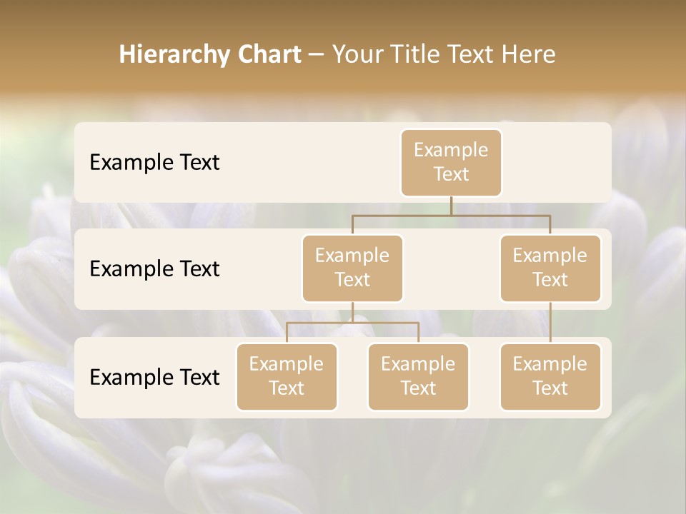 Agapanthas Unopened PowerPoint Template